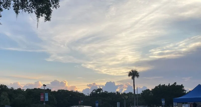 Sunset sky over vendor tents and palm trees at a local night market