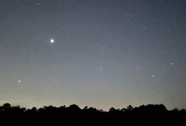 Blurry night sky before dawn with Venus, Jupiter, and Orion rising above the tree line.