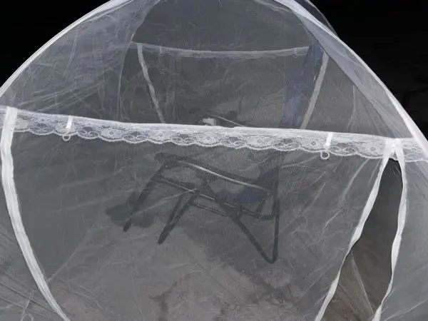 Interior view of mesh mosquito tent showing zero-gravity chair inside, set up before dawn for a meteor shower watch.