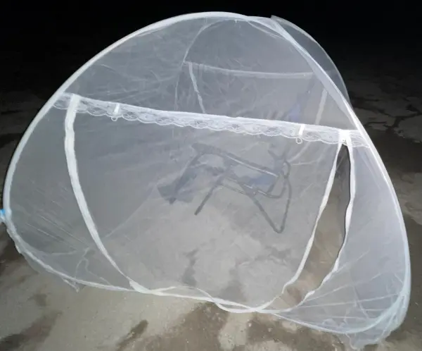 Full view of mesh mosquito tent with zero-gravity chair inside, set up outdoors before dawn for a meteor watch.